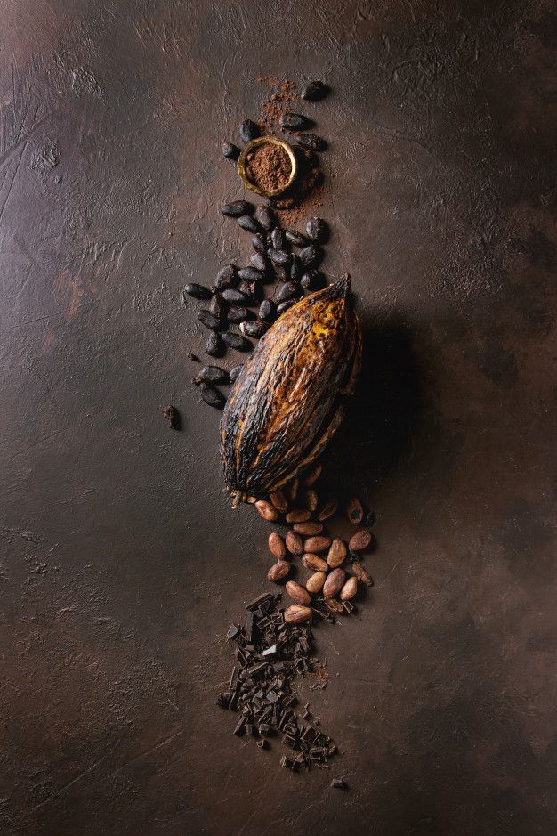 Cacao "Signature" Assoluta