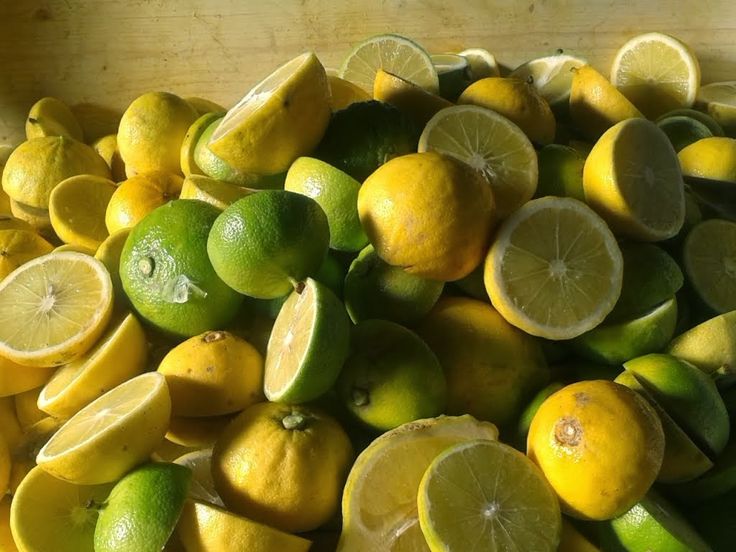 Bergamot ORG Essential Oil