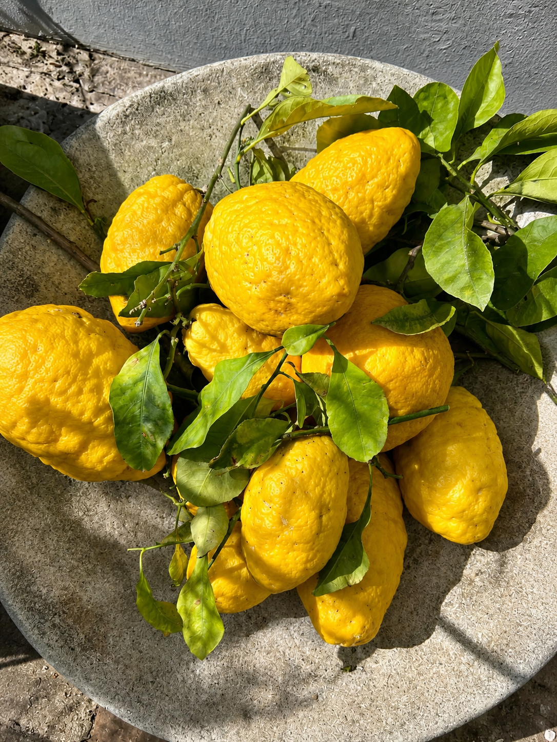 Limone FCF (Calabria) Olio Essenziale
