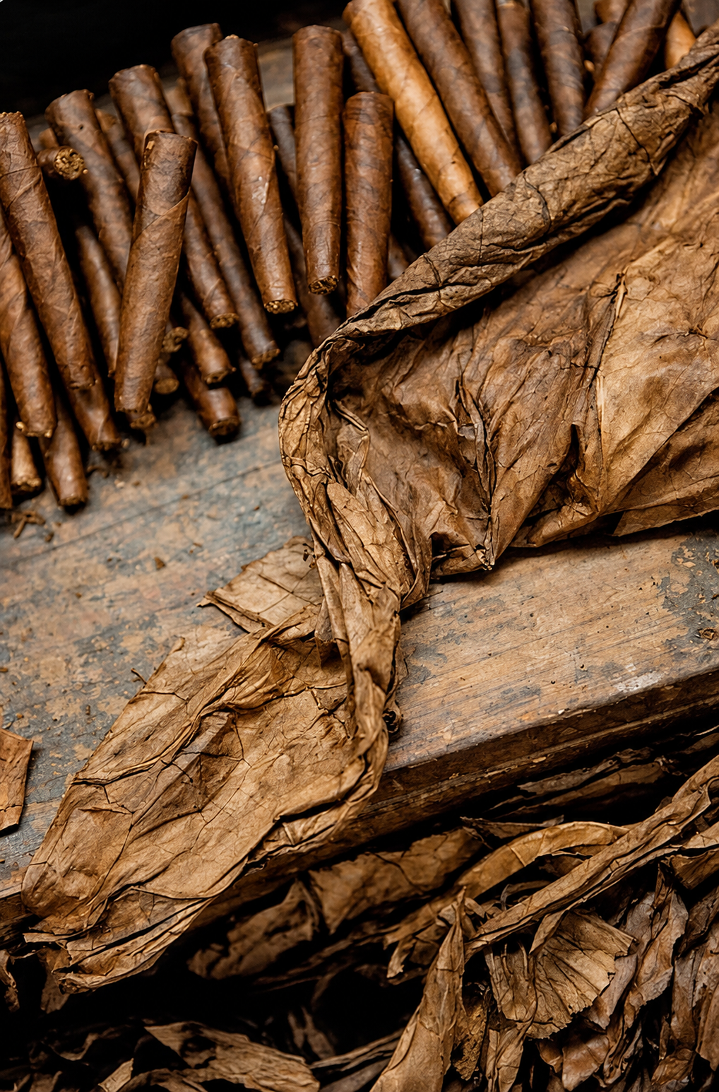Kephalis for perfumery and cosmetics: perufmes, soaps, skincare, candles