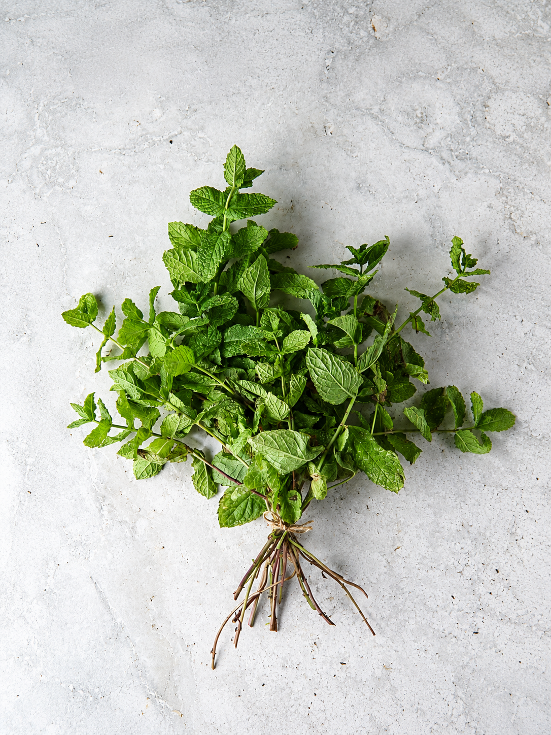 Mint Piperita "Cascade SX" Essential Oil