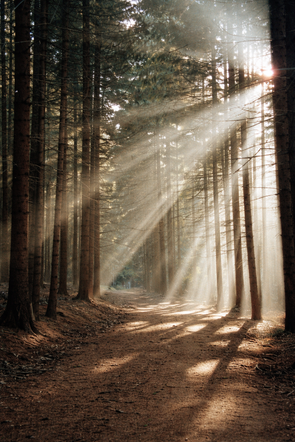 vertofix coeur for perfumery and cosmetics: perfumes, soaps, candles