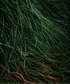 vetiver haiti for perfumery, aromatherapy and cosmetics: perfumes, soaps, candles, skincare